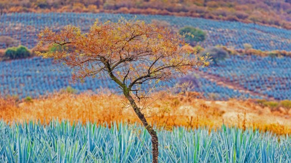 快手增粉神器:1元1000粉,有效提升粉丝数量